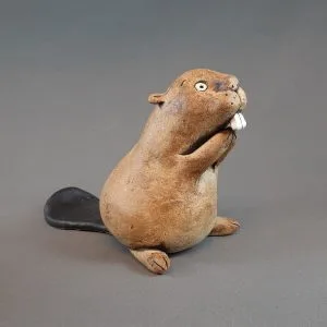 Majava keskikoko