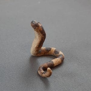 käärme